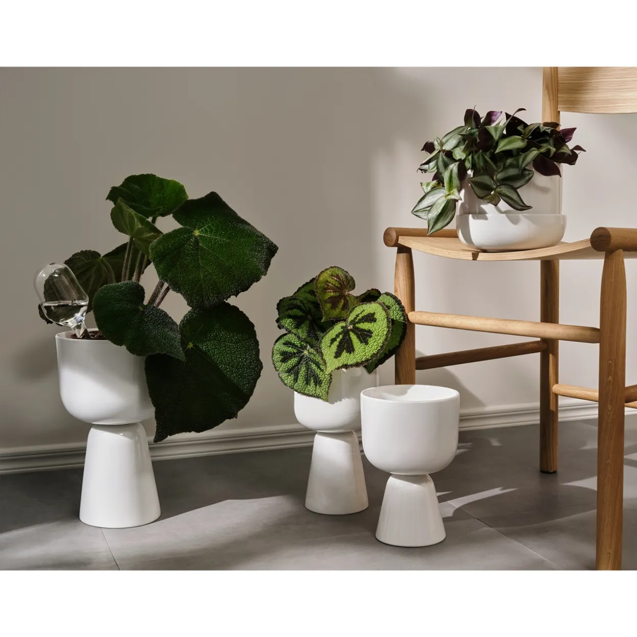 Bevattningsbehållare set 2-pack