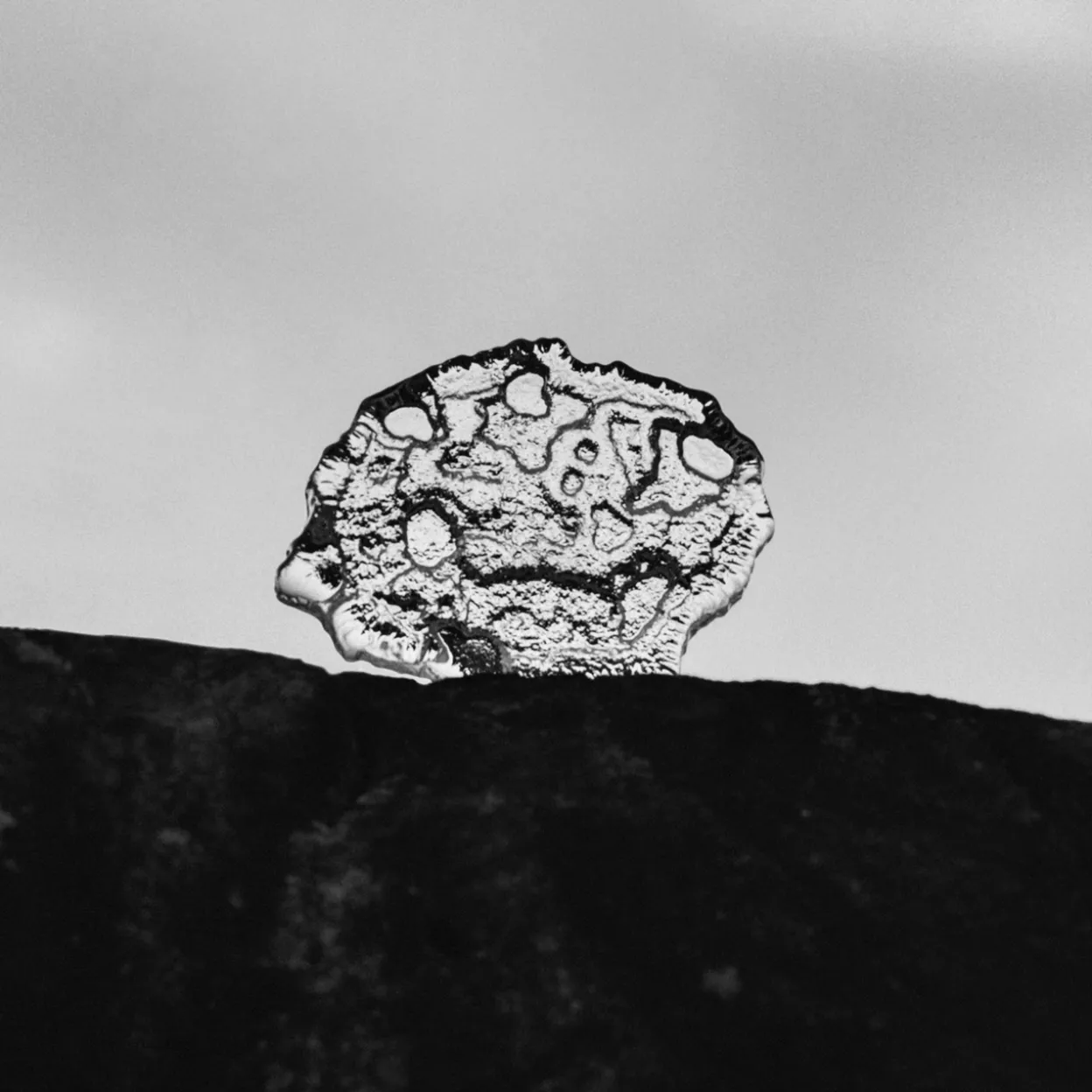 Isflak konstverk 135x24mm klar