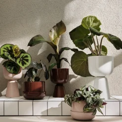 Kruka 260x155mm beige