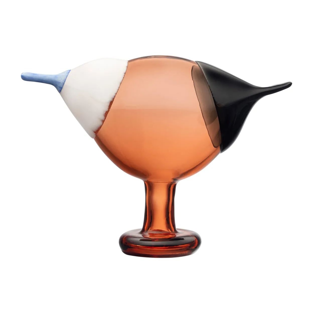 Kustskata 250x175mm pomerans