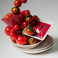 Tallrik rektangulär 12x24cm röd